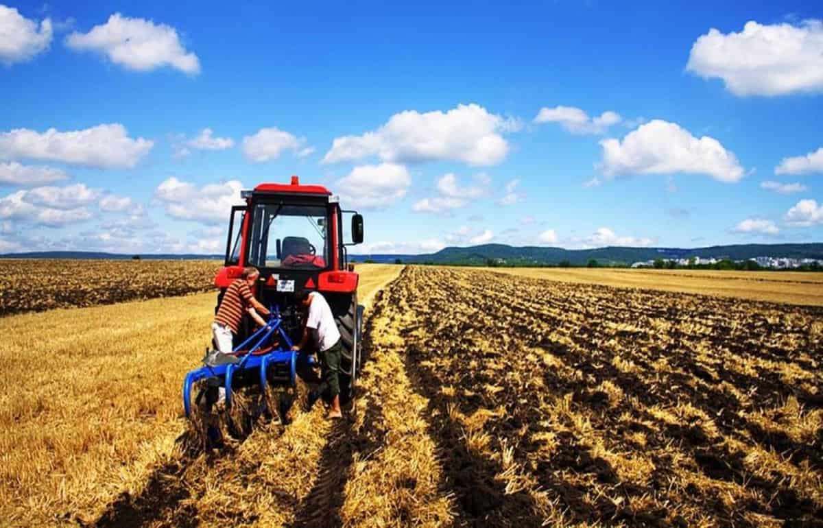 Владельцы сельхозземель освобождены от уплаты фиксированных взносы ОМС - agroexpert.md