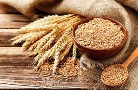 Evoluția prețurilor la cereale și oleaginoase: Analiza lui Iurie Rija