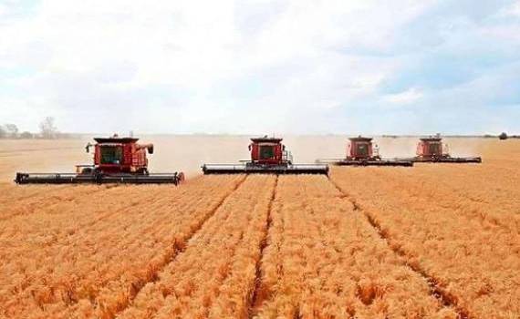 В 2024/25 МГ Россия может экспортировать до 66 млн тонн зерна - РЗС - agroexpert.md