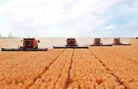 В 2024/25 МГ Россия может экспортировать до 66 млн тонн зерна - РЗС - agroexpert.md