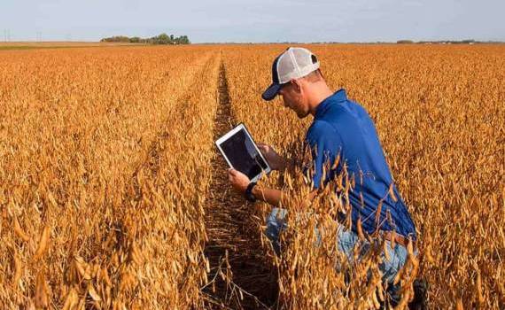 Bayer опробует генеративную систему ИИ для сельского хозяйства - agroexpert.md
