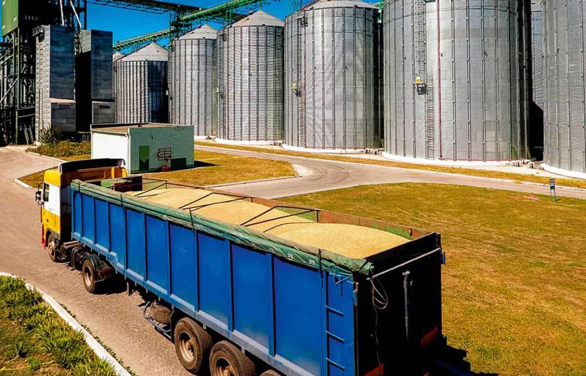 Цены на украинскую пшеницу в направлении Италии достигли 192-194€/т - agroexpert.md
