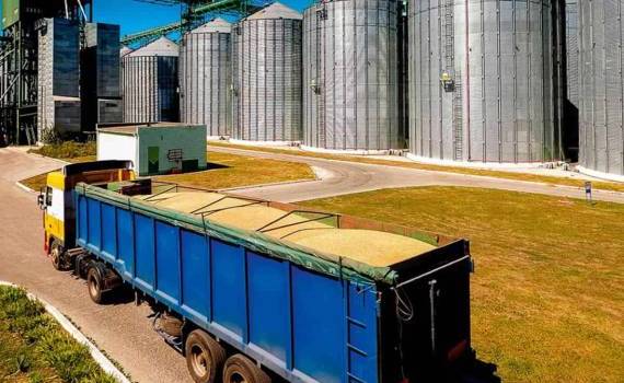 Цены на украинскую пшеницу в направлении Италии достигли 192-194€/т - agroexpert.md