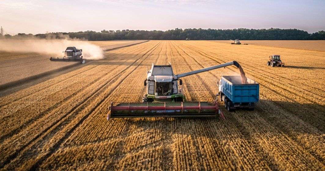 Producătorii și procesatorii de cereale - agroexpert.md