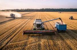 Producătorii și procesatorii de cereale - agroexpert.md
