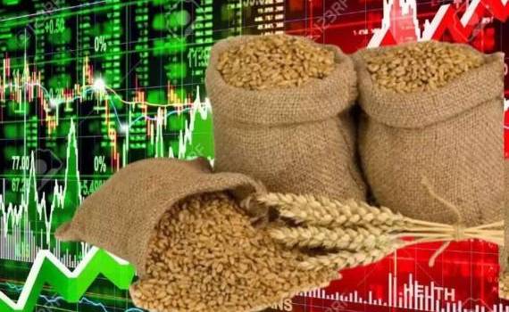 Отчет Украинской универсальной биржи о рынке зерновых за февраль 2024 года - agroexpert.md
