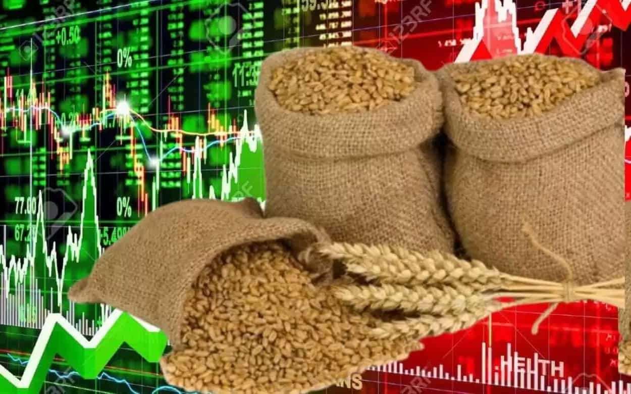 Отчет Украинской универсальной биржи о рынке зерновых за февраль 2024 года - agroexpert.md