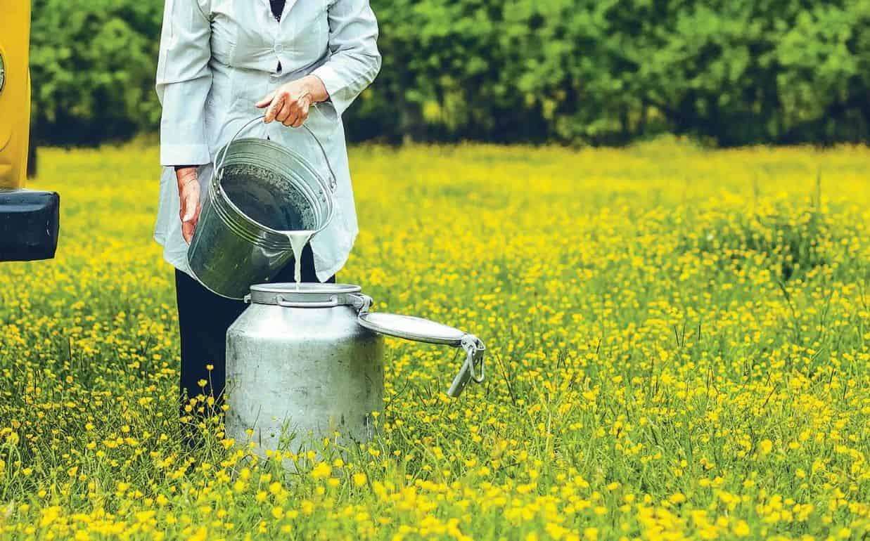 Каролина Линте: Позитивный эффект от субсидий «на килограмм молока» есть - agroexpert.md