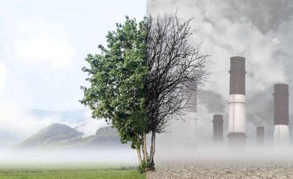 Cât de poluat este aerul în Republica Moldova - agroexpert.md