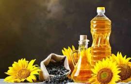 Argentina planifică să majoreze exportul de ulei de floarea-soarelui - agroexpert.md