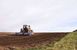 Statul oferă credite pentru a acoperi cheltuielile producătorilor de cereale - agroexpert.md