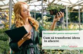 Recomandări pentru antreprenori: Cum să transforme ideea în afacere - agroexpert.md