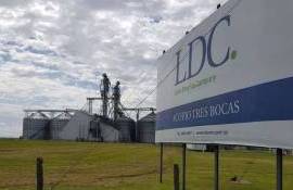Louis Dreyfus Co.: Прибыль гиганта с/х рынка снова превысила $1 млрд - agroexpert.md