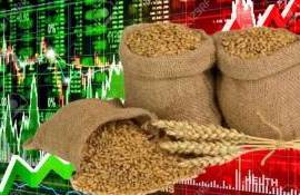 Создание зерновой биржи БРИКС может серьезно повлияет на мировой рынок - agroexpert.md