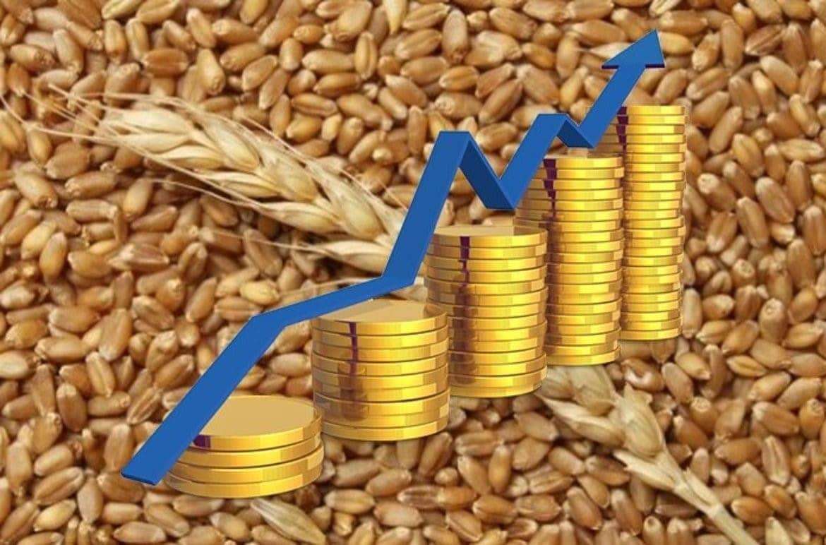 Румынская товарная биржа: Цена пшеницы и кукурузы в порту Констанца - agroexpert.md