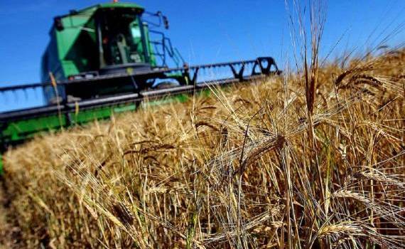 Subvențiile complementare: Agricultorii pot depune online cererile - agroexpert.md