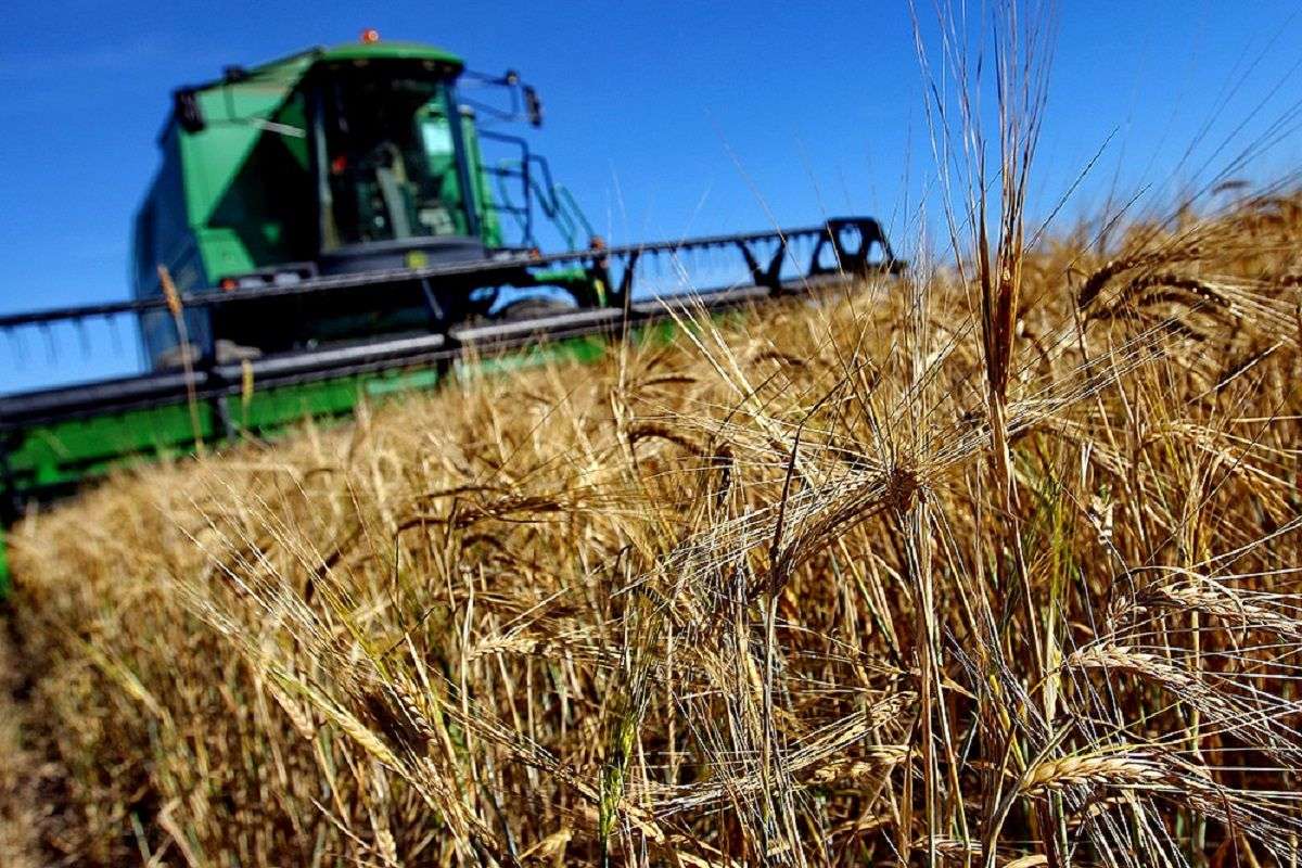 Subvențiile complementare: Agricultorii pot depune online cererile - agroexpert.md