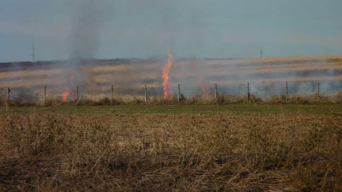 Impactul arderii vegetației: „Pământul devine ca și mort” - agroexpert.md