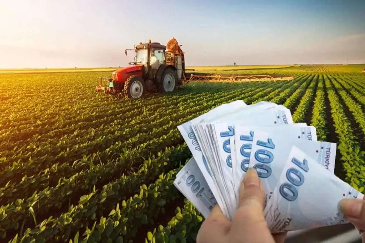 agricultura munca nedeclarată - agroexpert.md