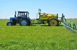 Озимые переходят в новую фазу развития. Второй этап азотной подкормки - agroexpert.md