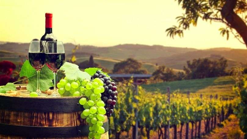 analiza produselor vitivinicole - agroexpert.md