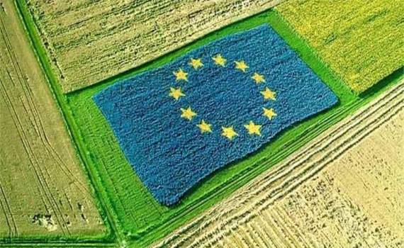 Изменения в агросекторе ЕС: средний размер ферм вырос почти вдвое - agroexpert.md