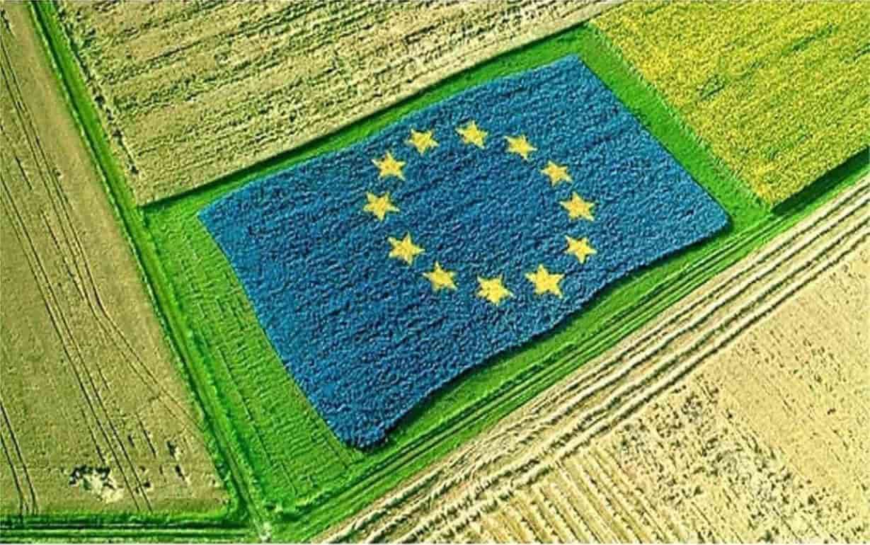 Изменения в агросекторе ЕС: средний размер ферм вырос почти вдвое - agroexpert.md
