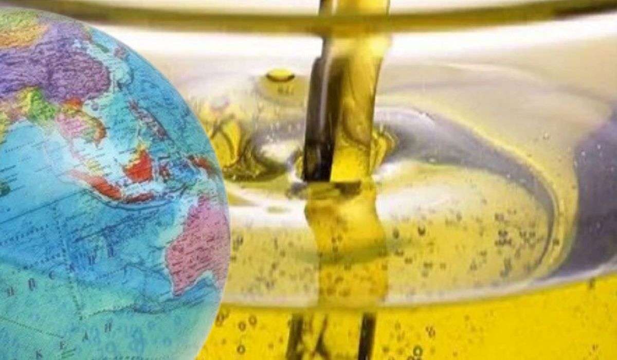 ФАО: Мировые цены на растительное масло достигли самого высокого показателя - agroexpert.md