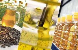 Турция активно увеличивает импорт подсолнечного масла и шрота - agroexpert.md    