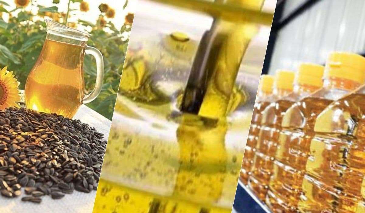 Турция активно увеличивает импорт подсолнечного масла и шрота - agroexpert.md    
