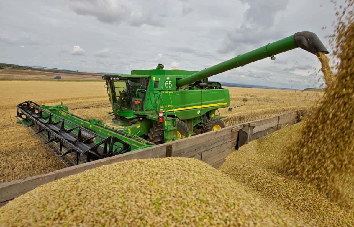 ФАО улучшила прогноз урожая зерна - agroexpert.md