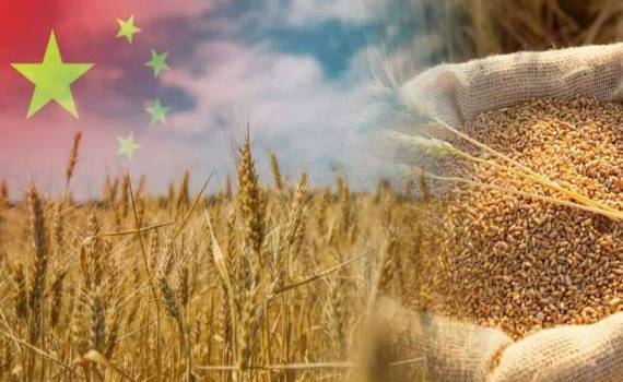 Китай всколыхнул рынок отменой поставок пшеницы из США и Австралии - agroexpert.md