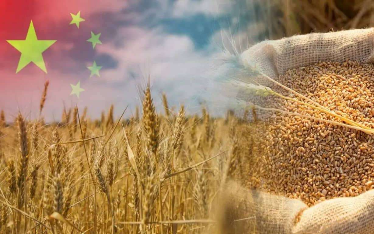 Китай всколыхнул рынок отменой поставок пшеницы из США и Австралии - agroexpert.md