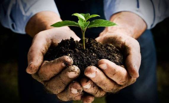 В ЕС принимают первый в истории закон о почвах - agroexpert.md