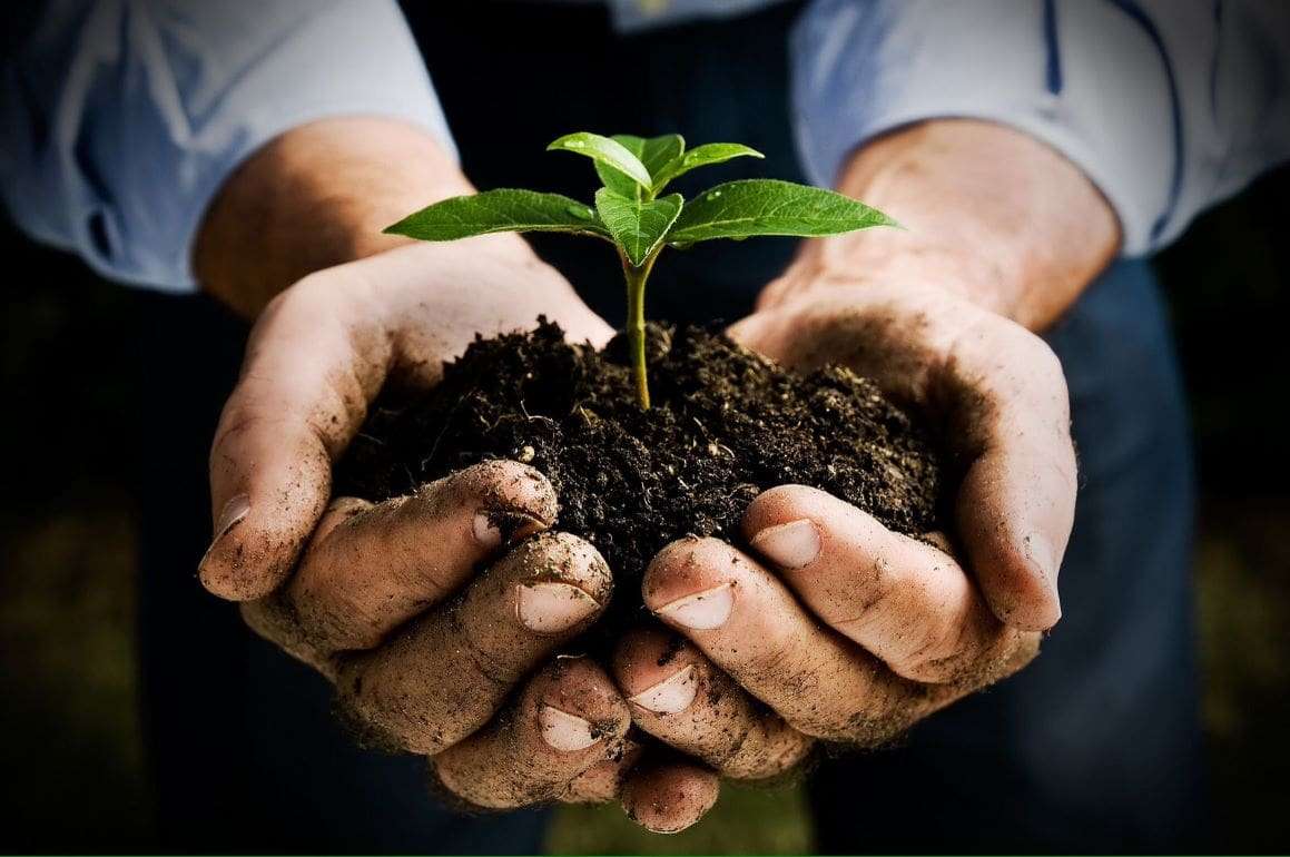 В ЕС принимают первый в истории закон о почвах - agroexpert.md