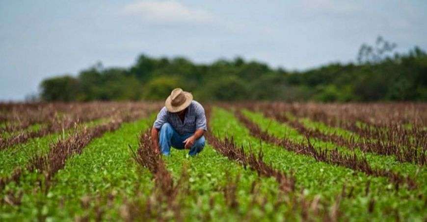 Asigurarea riscurilor: Instruiri pentru agricultorii din nordul țării - agroexpert.md