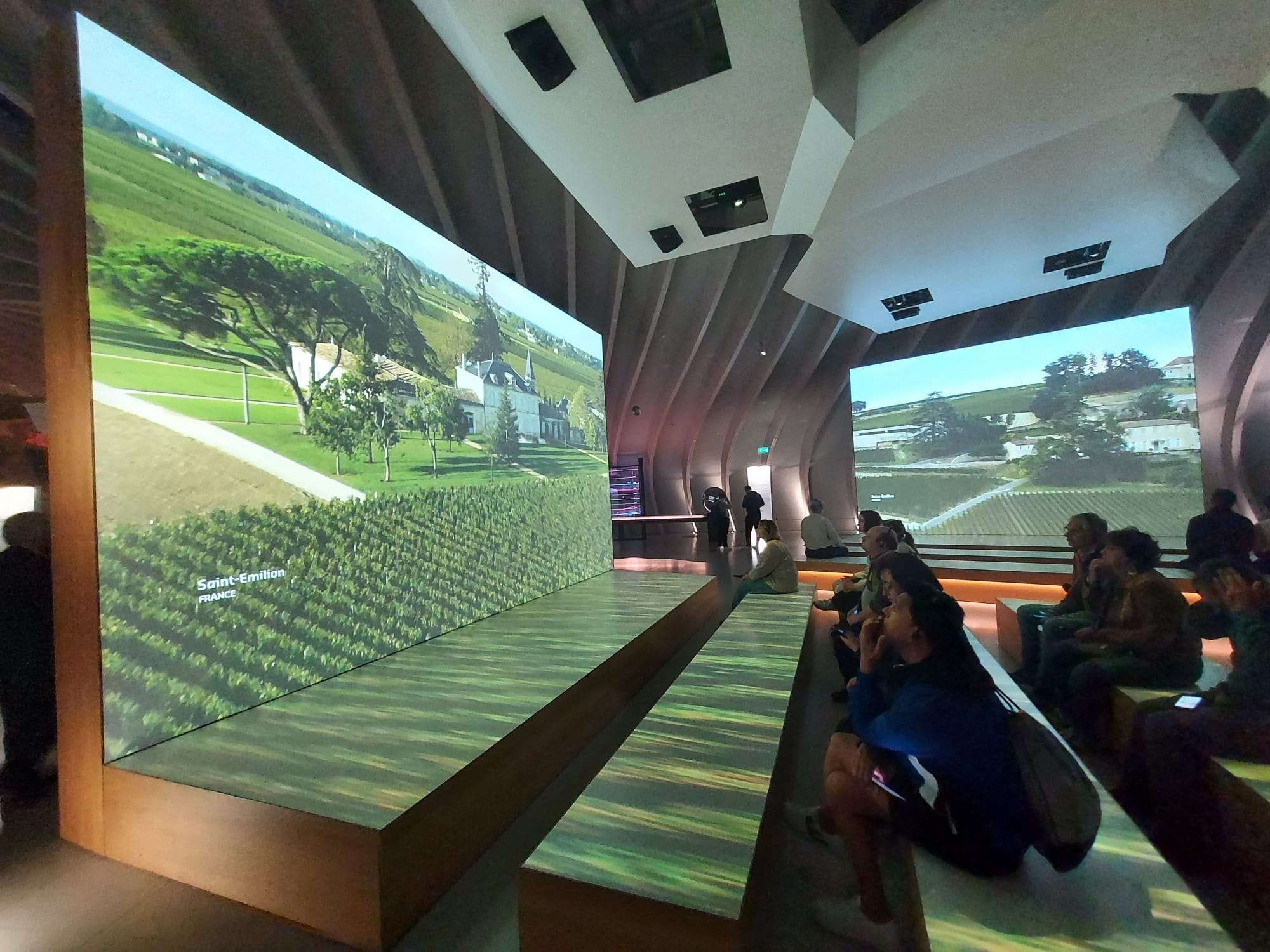 Republica Moldova va crea primul muzeu al Vinului și Viței de Vie - agroexpert.md