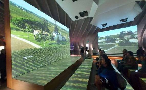 Republica Moldova va crea primul muzeu al Vinului și Viței de Vie - agroexpert.md