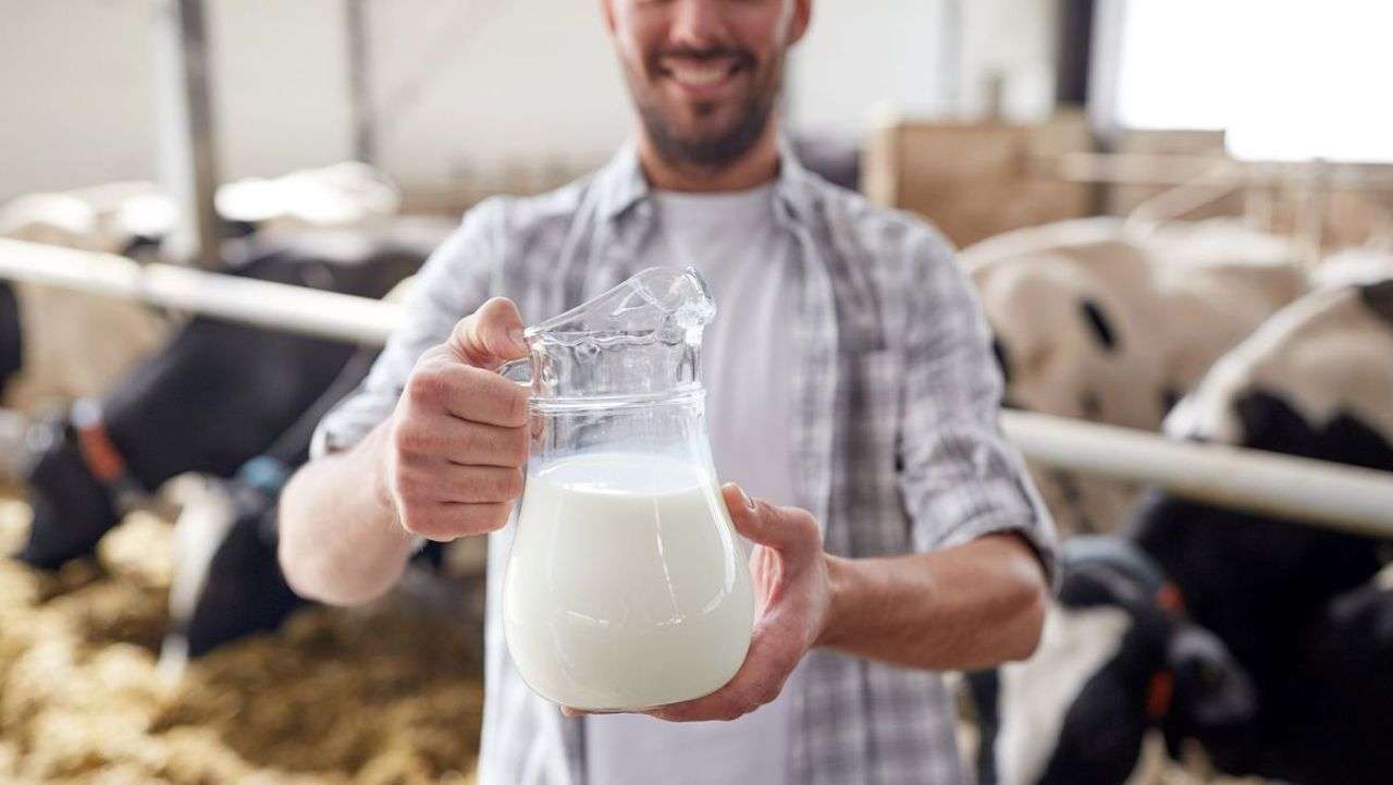 Subvenții per kg de lapte de vacă: S-au recepționat 185 de cereri - agroexpert.md