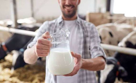 Subvenții per kg de lapte de vacă: S-au recepționat 185 de cereri - agroexpert.md