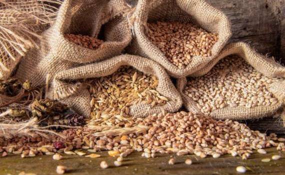 Prețurile la cereale și oleaginoase pe regiuni în Republica Moldova - agroexpert.md