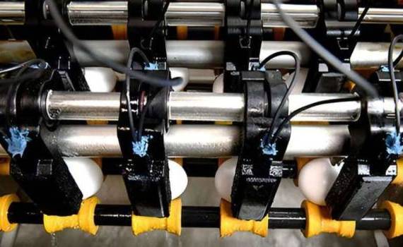 Радиоволны ускоряют процесс пастеризации яиц в два раза - agroexpert.md