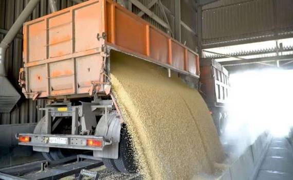 Украина до конца мая экспортирует все остатки зерна урожая-2023 - agroexpert.md