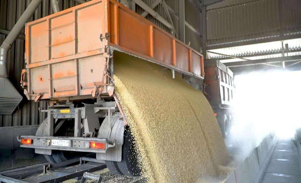 Украина до конца мая экспортирует все остатки зерна урожая-2023 - agroexpert.md