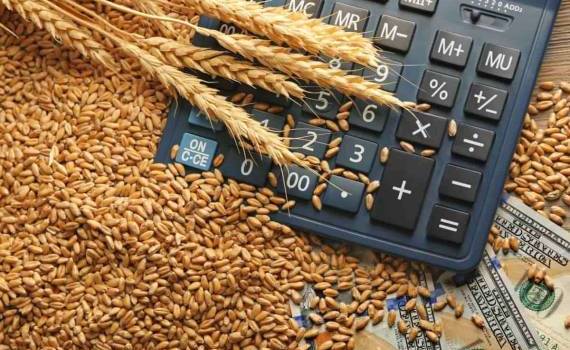 Началось обсуждение проекта зерновой биржи на платформе БРИКС - agroexpert.md
