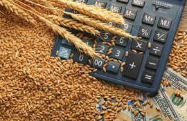Началось обсуждение проекта зерновой биржи на платформе БРИКС - agroexpert.md