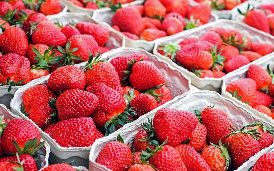 Primele căpșuni autohtone au apărut în vânzare. Cât costă un kg - agroexpert.md