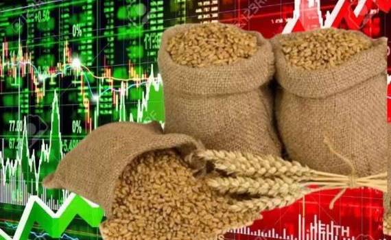 Мировой рынок зерна: пшеница приблизилась к двухмесячному максимуму - agroexpert.md