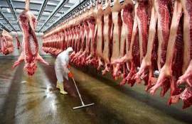 Аналитики ожидают снижения мирового производства свинины в 2024 году - agroexpert.md