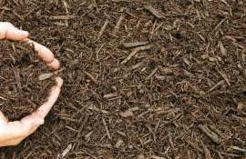 Mulcirea solului în plantațiile pomicole - agroexpert.md
